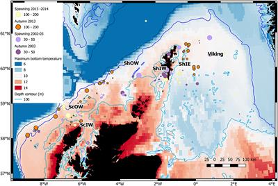 Linking Scales of Life-History Variation With Population Structure in Atlantic Cod